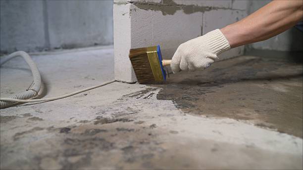 Top rated local Interior Drainage System specialists in Rosharon, TX